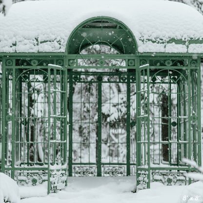 Cold Snowy Winter Weather Backdrop  for Photography SBH0296