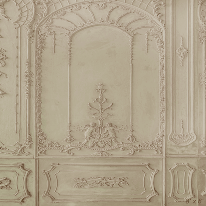 Retro Elegance Vintage Wall Backdrop for Photography SBH0292