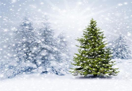 Glitter Snow Winter Pine Backdrops