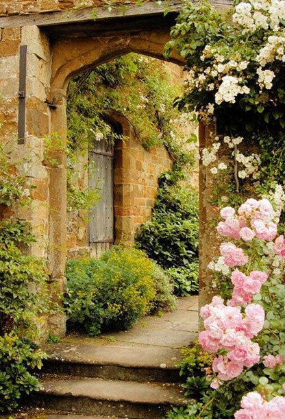 Old Stone Door With Pink Flowers Backdrop Spring View Photography Background