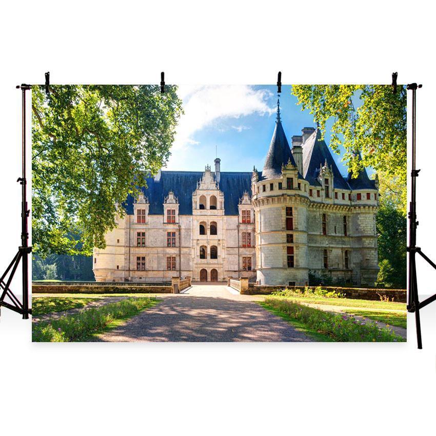 Small Town Street Scenery Backdrop for Photography Background