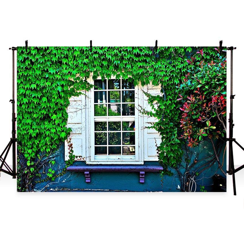 White Window With Nature Foliage Leaves Photography Backdrop