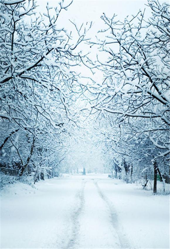 Snow Branches Winter Photography Backdrops