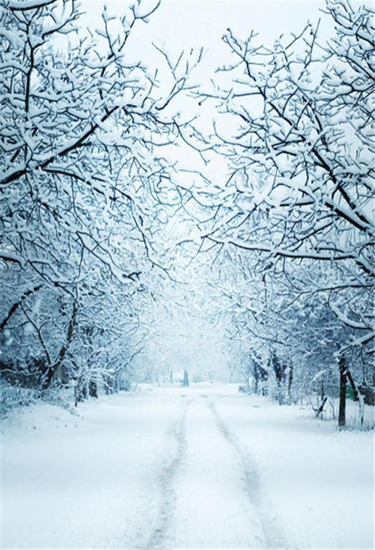 Snow Branches Winter Photography Backdrops
