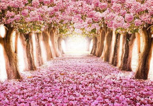 Romantic Pink Flowers Road Backdrop Intoxicating Photography Background