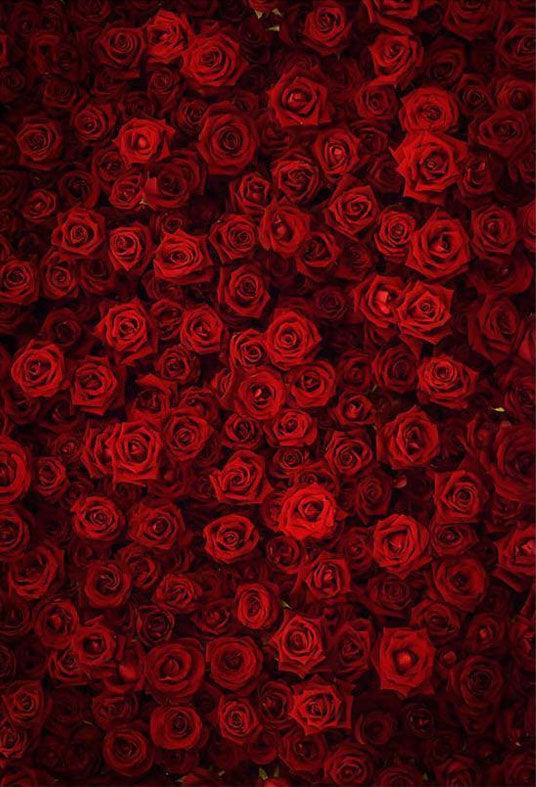Red Rose Wall For Wedding Backdrop Photography
