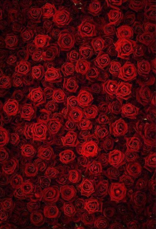Red Rose Wall For Wedding Backdrop Photography