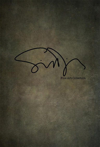 Simon Diez  Dark Abstract Art Portrait Backdrop for Photography Prop