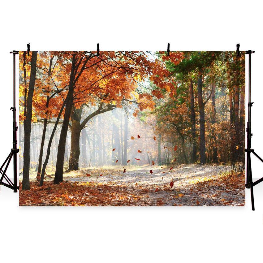 Autumn Scenery Deciduous Backdrop Yellow Fall Leaves for Photography