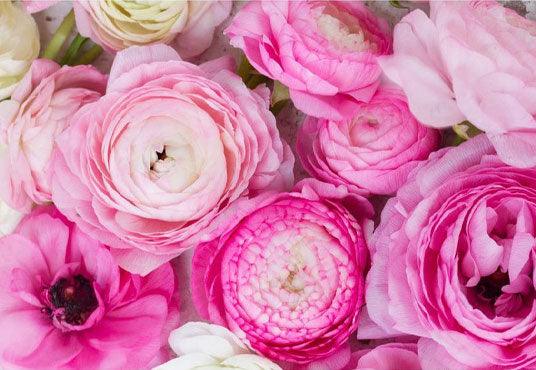 Beautiful Flower Photography Backdrop For Celebrate Mother's Day