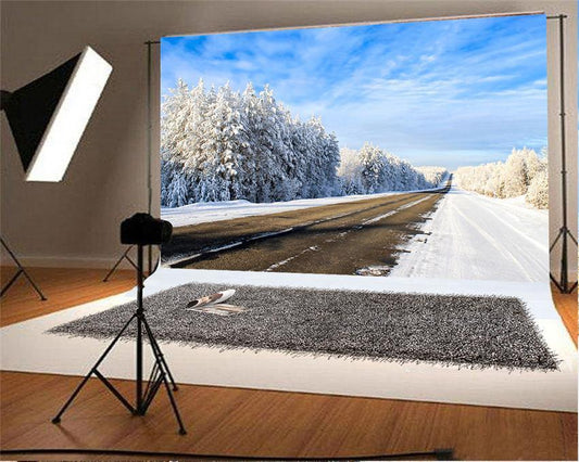 Blue Sky Winter Backdrops Wonderland Photo