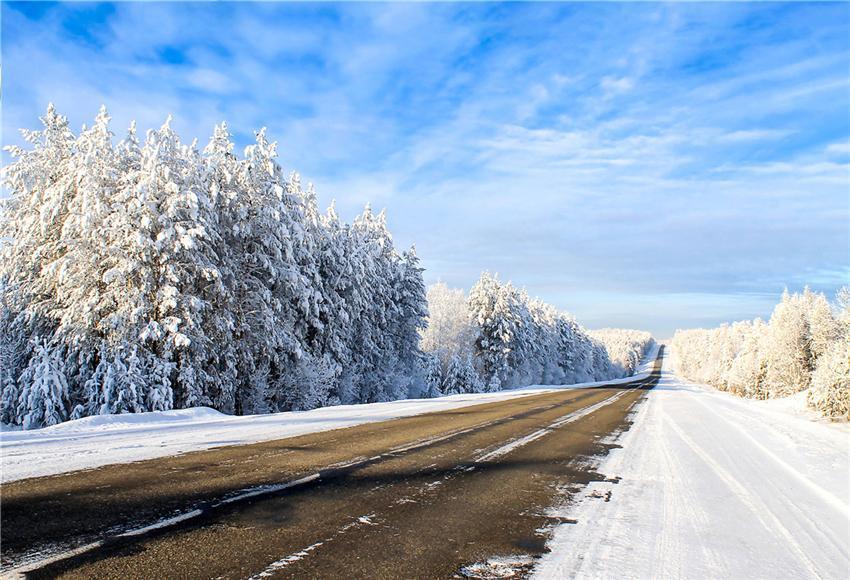Blue Sky Winter Backdrops Wonderland Photo