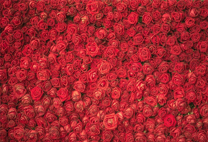 Star Backdrop Red Rose Flowers Backdrop for Wedding Decor