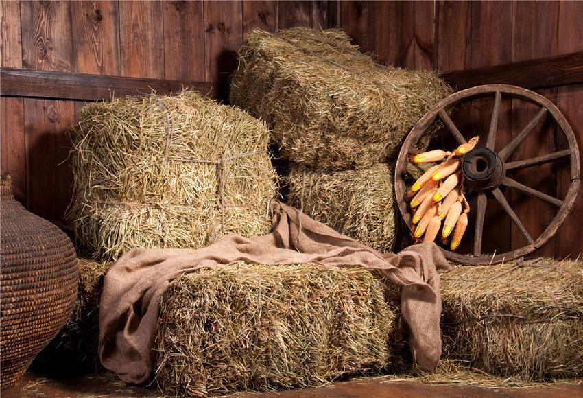 Autumn Straw Barn Photography Backdrops