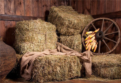 Autumn Straw Barn Photography Backdrops