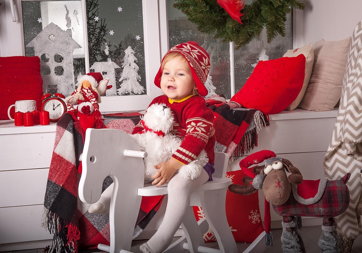 Christmas Windows Snowflake Photo Backdrop for Studio