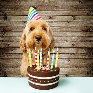 Brown Retro Wood Wall Backdrop for Photography