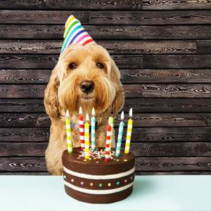 Dark Color Wood Wall Backdrop for photography