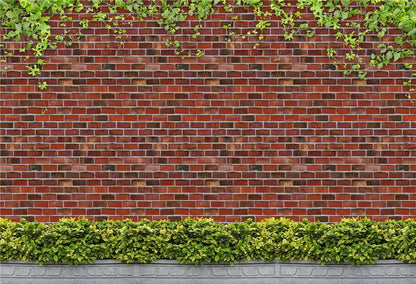 Brick Wall Creeper Green Leaves Backdrops for Photo Studio