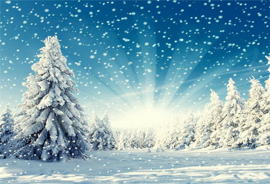 Winter Snow Forest Pine Backdrops for Photography