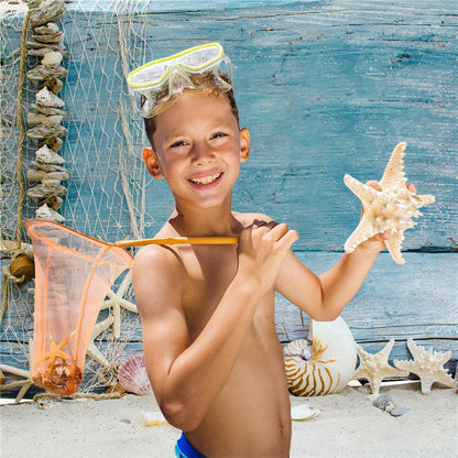 Starfish And Shellfish Before Blue Wood Floor For Summer Seaside Backdrops