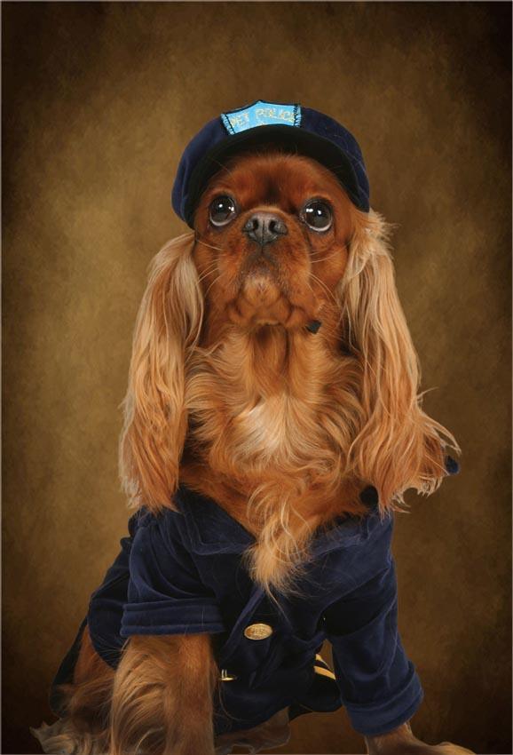 Bright Brown Abstract Wedding Portrait Backdrop for Photographer