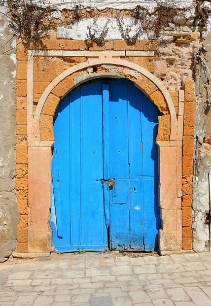 Rustic Door Distressed Blue Double Doors Scenic Photography Brick Background for Photo Booth K14841
