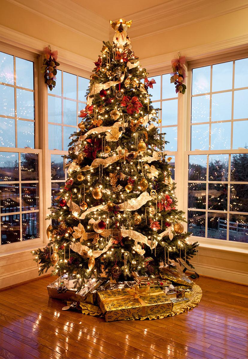 Bright Luxury Window Christmas Photography Backdrops