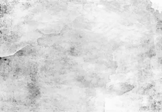 Light Grey Abstract Wall Photo Backdrops for Portrait