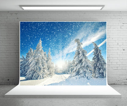 Winter Photography Backdrop Snowflake Forest Background