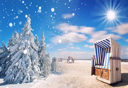Winter Snow Sunshine Photography Backdrop