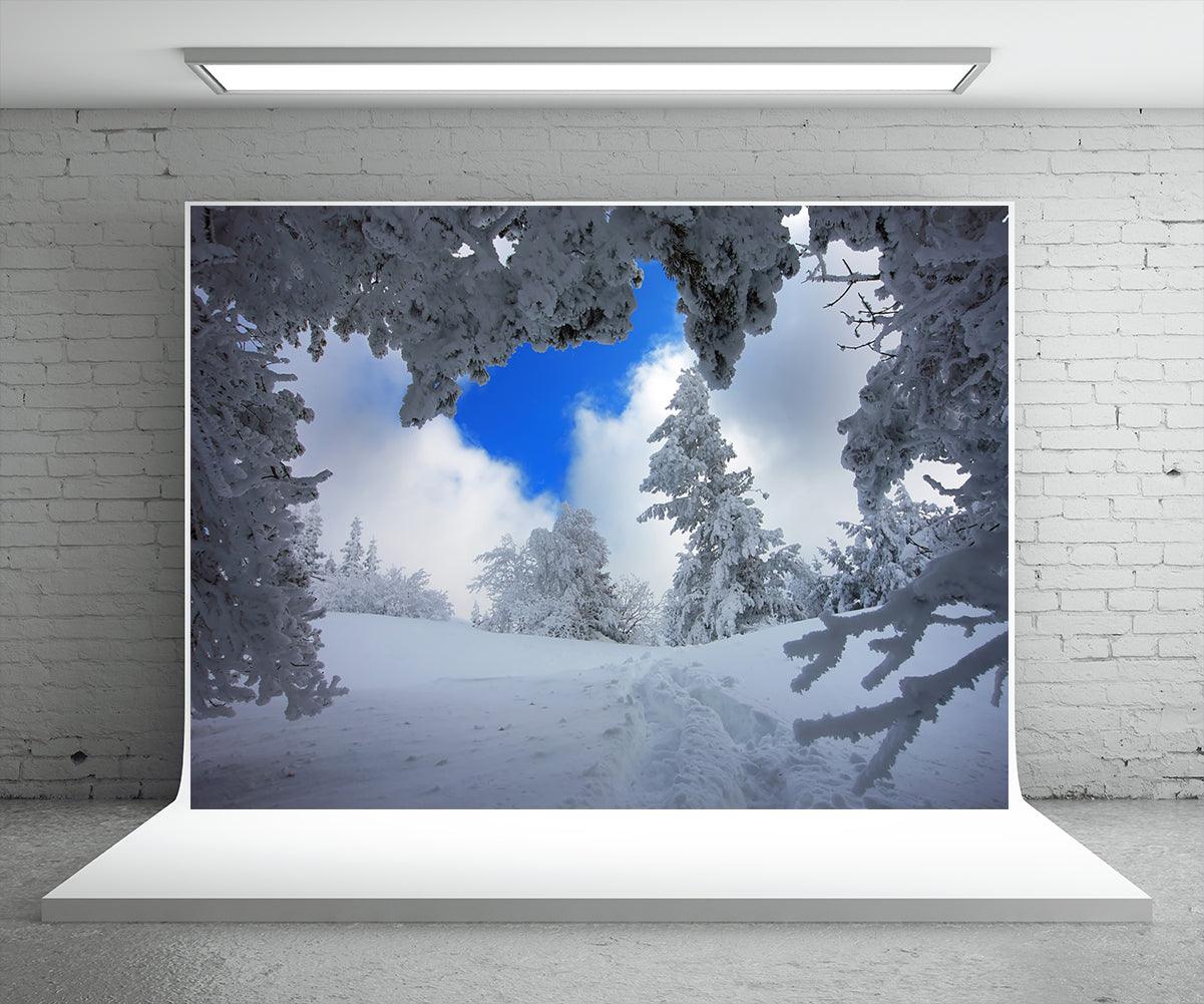 Snow Tree Backdrop For Photography Winter Background