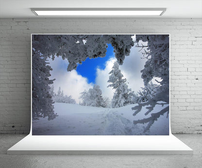 Snow Tree Backdrop For Photography Winter Background
