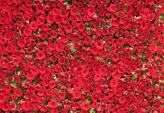 Red Rose Valentine's Day Photo Booth Backdrop for Studio