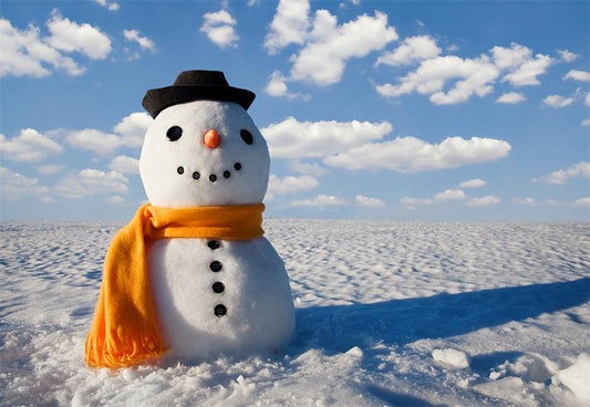 Snowman Photography Backdrop Winter Background