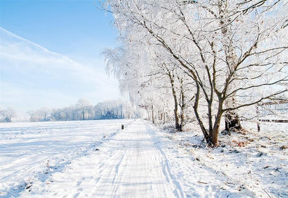 White Snow  Tree Photography Backdrop Winter Background