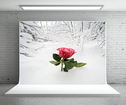 Red Rose Snow Photography Backdrop For Winter