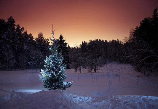 Night Snow Tree Photography Backdrop for Winter