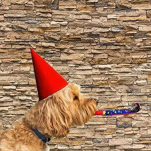 Brick And Stone Textures Backgrounds Digital Backdrop for Photo Studio KH03353