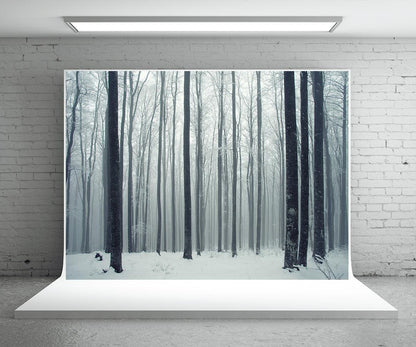 Snow Forest Photo Background Winter Backdrop