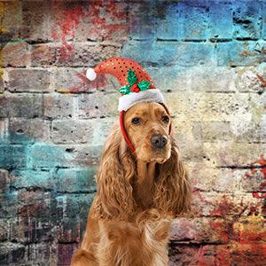 Graffiti Brick Wall Photography Backdrop Hip Hop Photo Background Photo Booth Props KH03511