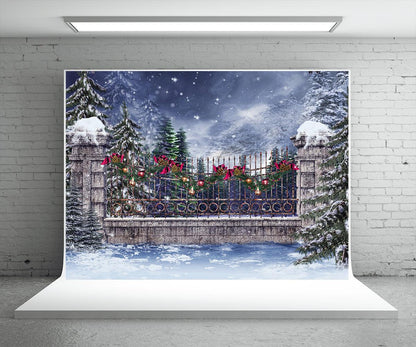 Snow Winter Wonderland Christmas Backdrop for Studio