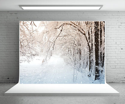 White Snowflake Tree Photography Backdrop Background