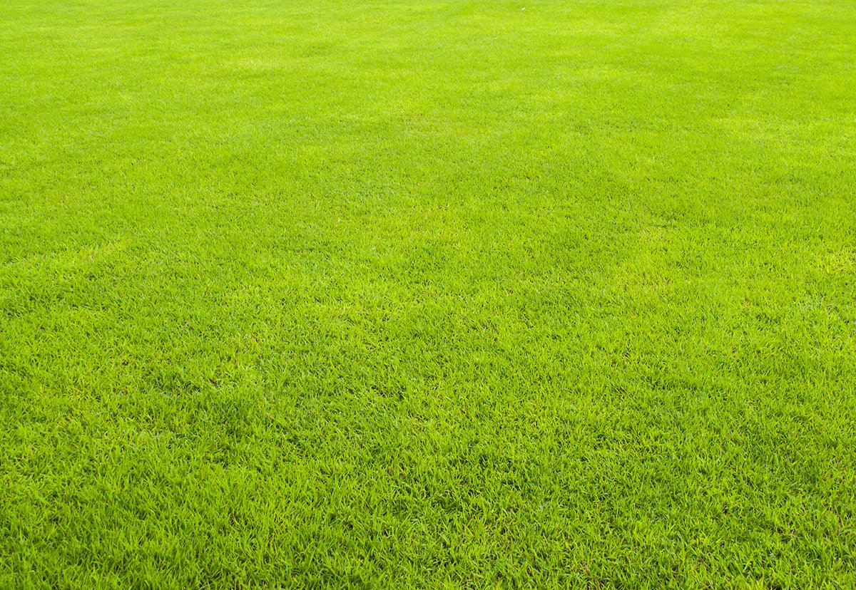 Abstract Green Pattern Photography Backdrops for Picture