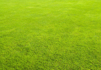 Abstract Green Pattern Photography Backdrops for Picture