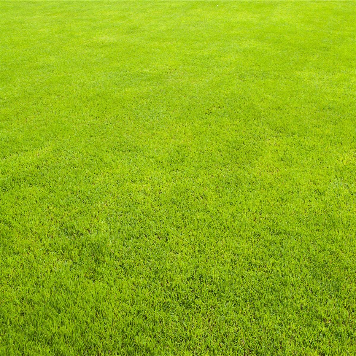 Abstract Green Pattern Photography Backdrops for Picture