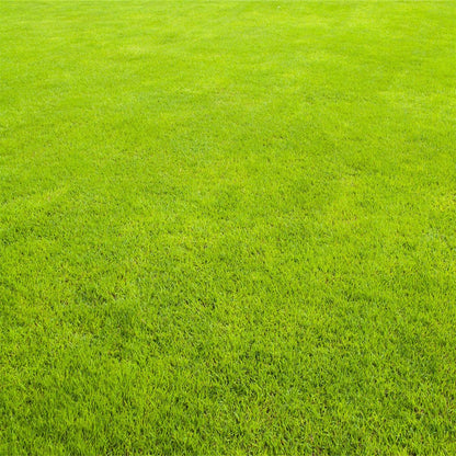 Abstract Green Pattern Photography Backdrops for Picture