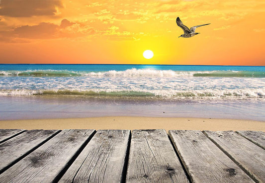 Seaside Sunset Scenery Photo Backdrop Seagulls Photography Background Blue Sky Photo Studio Props KH04686