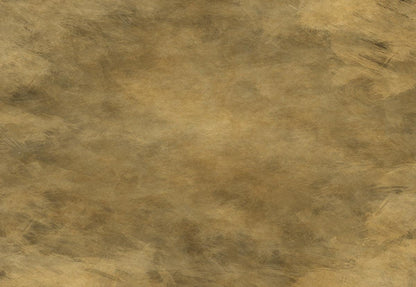 Old Master Abstract Backdrop for Portrait