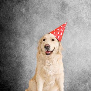 Karole Mead Abstract Art Black White  Backdrop for Photography